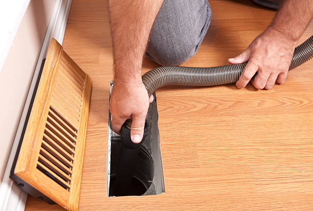 Best Mold and Mildew Removal from Ducts in Hibbing, MN